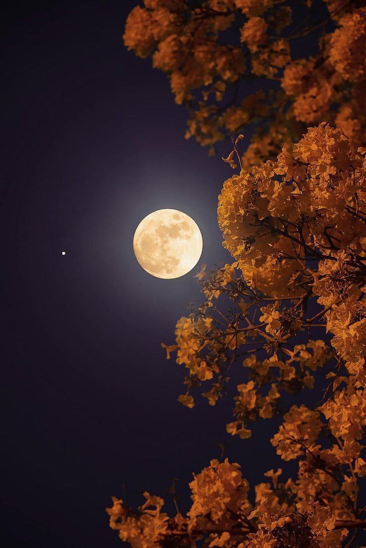 Moon Ceremonies - Stay Tuned for Future Events