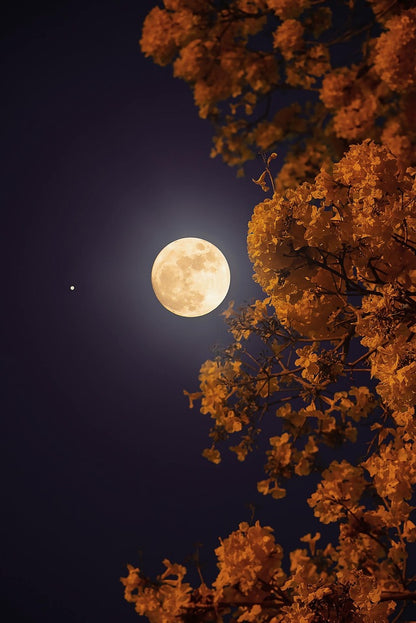 Moon Ceremonies - Stay Tuned for Future Events